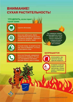 Выжигание сухой растительности опасно для жизни!