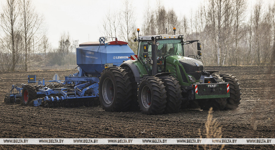 Early spring crops planted on over 43,000ha in Belarus