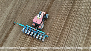 Belarus starts planting corn