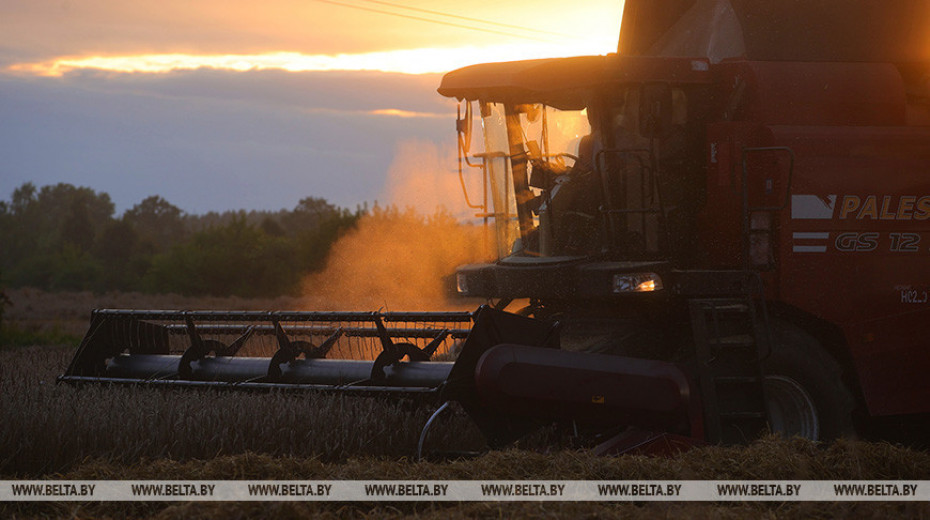 Первый миллион тонн зерна намолочен в Гродненской области