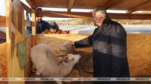 Живой рождественский вертеп появился у Коложской церкви в Гродно