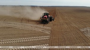 Озимые зерновые в Гродненском районе посеяли на 60% площадей