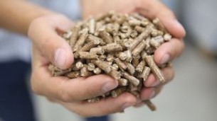 Новые пеллетные заводы в октябре отгрузили топливные гранулы более чем на 1,1 млн евро
